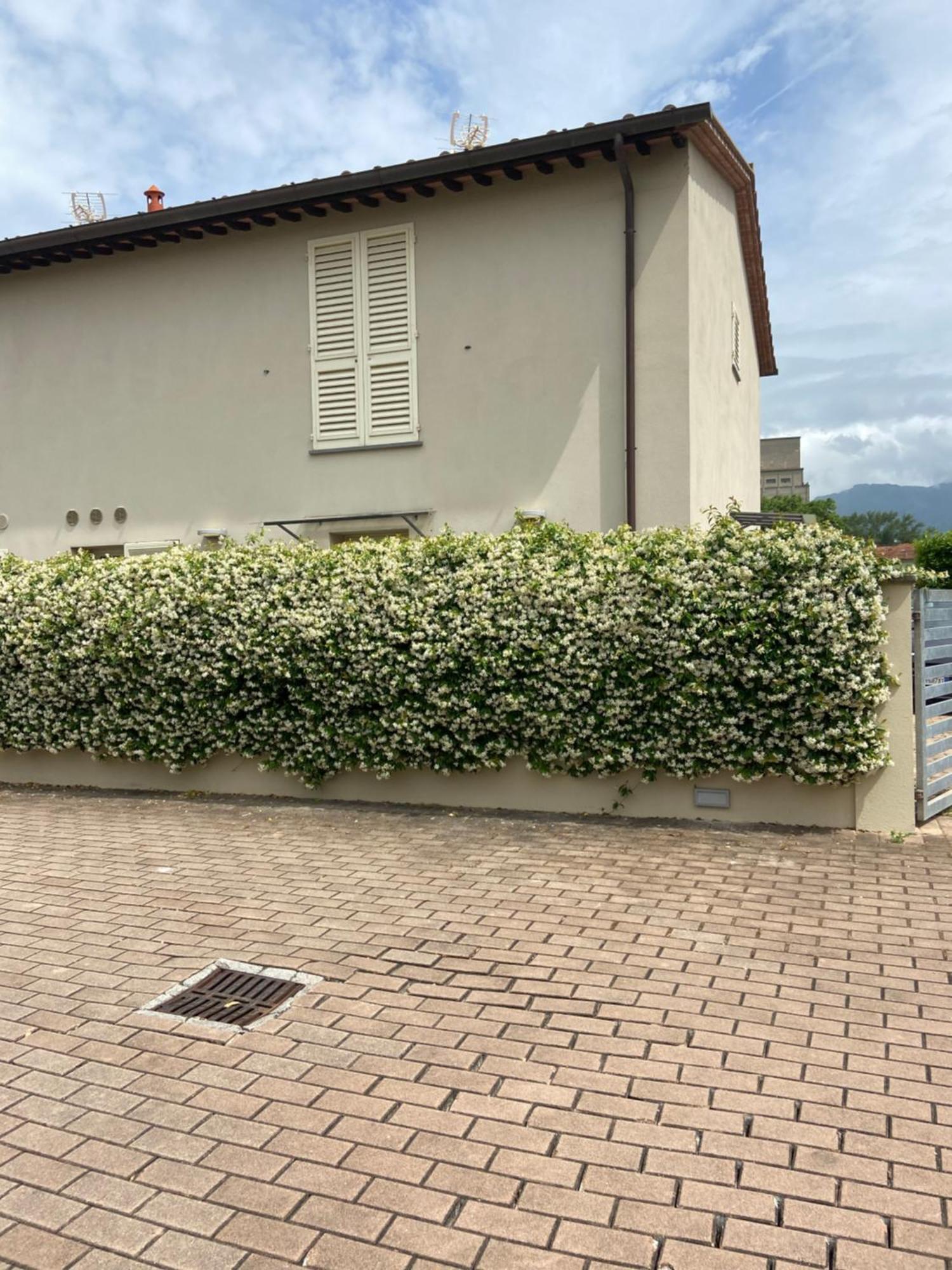 Casa Ariel Villa Lucca Exterior photo